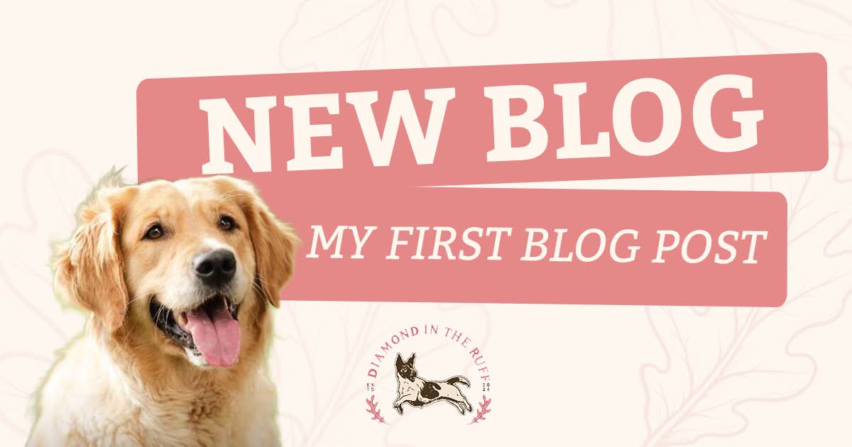 Welcome to my blog!