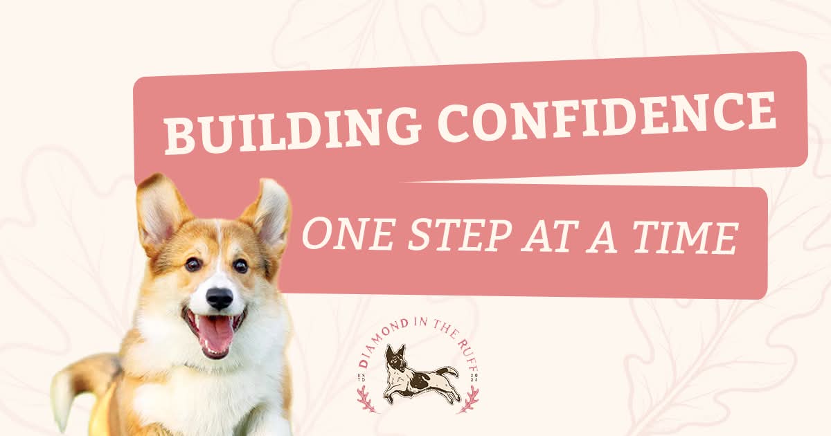 Build Confidence: One Step At A Time